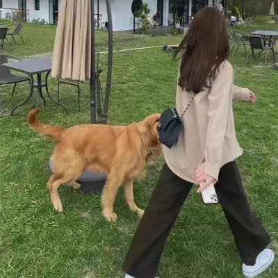 穿普拉达的女王